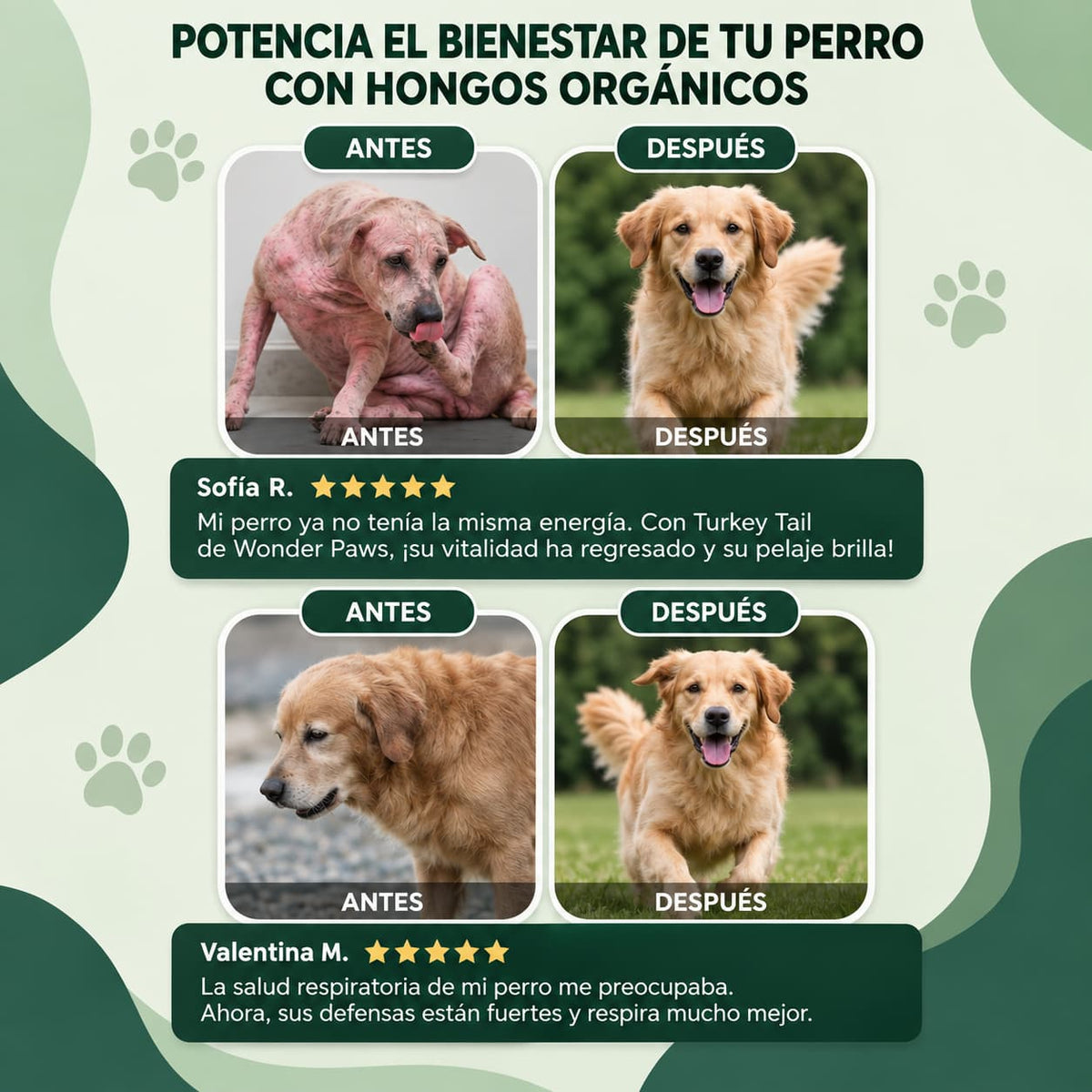 HONGO COLA DE PAVO WONDER PAWS™