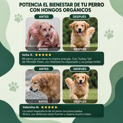 HONGO COLA DE PAVO WONDER PAWS™